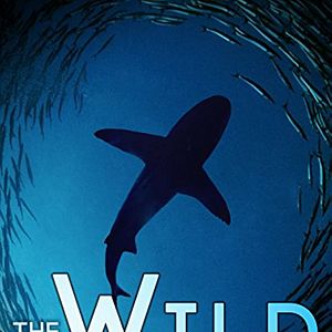 Bilder Wilder Pazifik