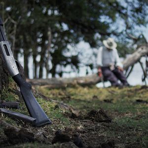 Bilder Mein gestohlenes Land