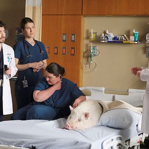 Bilder Alison Wandzura