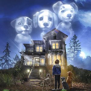 Bilder Die Phantomwelpen