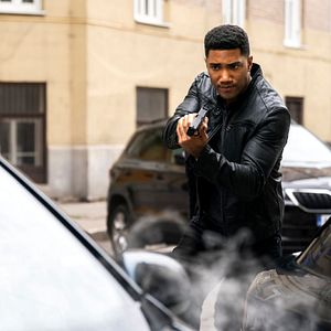 Bilder Carter Redwood