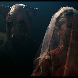 Bilder The Free Fall