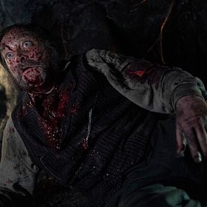 Bilder Guillermo del Toro's Cabinet of Curiosities