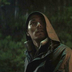 Bilder Schweigend steht der Wald