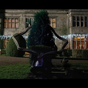 Bilder The Killing Tree