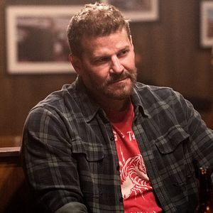 Bilder David Boreanaz