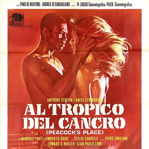 Bilder Inferno unter heißer Sonne