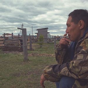 Bilder Sibirisch für Anfänger