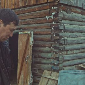 Bilder Sibirisch für Anfänger