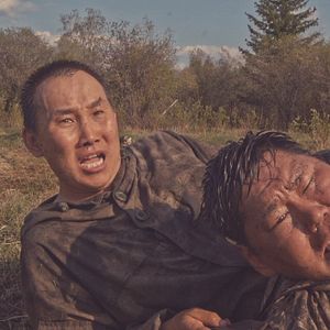 Bilder Sibirisch für Anfänger