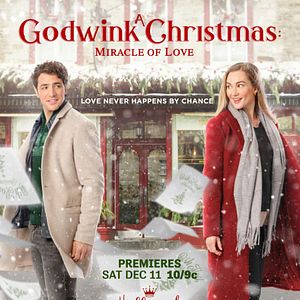 Bilder Zufälle gibt's - Das große Weihnachtsglück