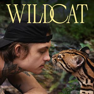 Bilder Wildcat
