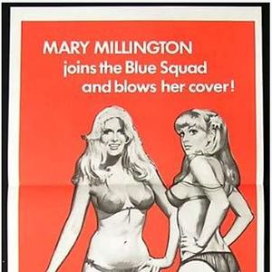 Bilder The Playbirds