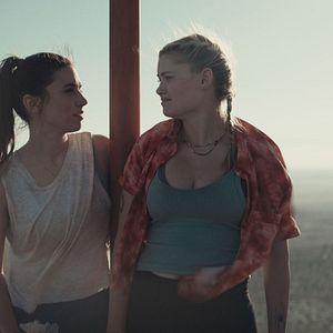 Bilder Fall - Fear Reaches New Heights