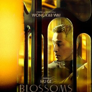 Bilder Blossoms Shanghai