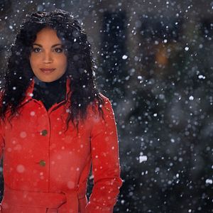 Bilder The Noel Diary