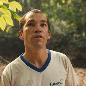 Bilder The Territory