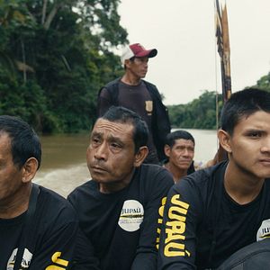 Bilder The Territory