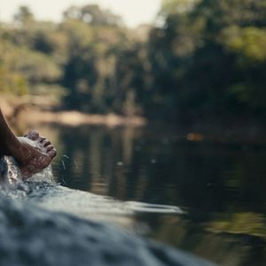 Bilder The Territory