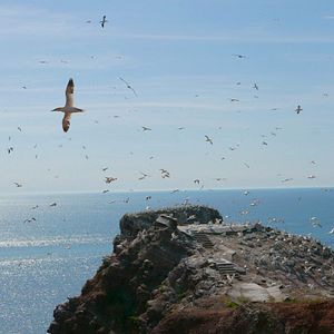 Bilder Vogelperspektiven