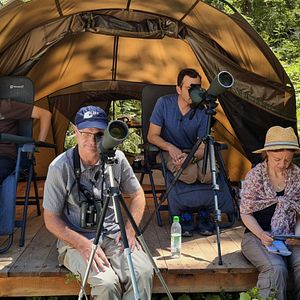 Bilder Vogelperspektiven