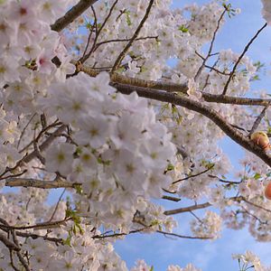 Bilder Gudetama: An Eggcellent Adventure