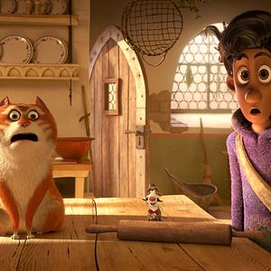 Bilder Maurice, der Kater