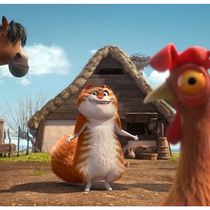 Bilder Maurice, der Kater