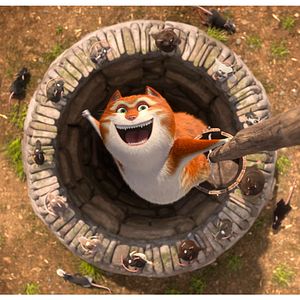 Bilder Maurice, der Kater