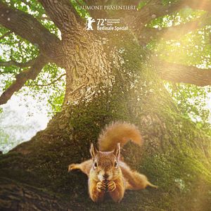 Bilder Die Eiche – Mein Zuhause