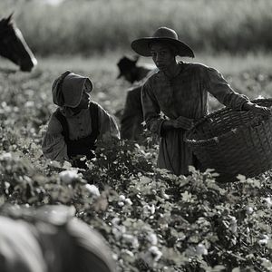 Bilder Charmaine Bingwa