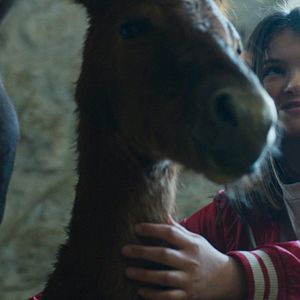 Bilder Charlie Paulet