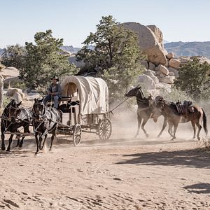 Bilder The Last Manhunt