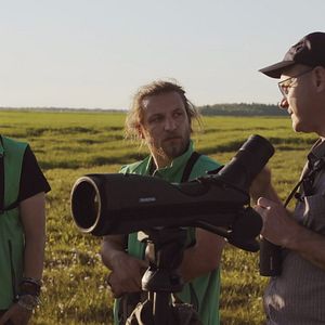 Bilder Vogelperspektiven