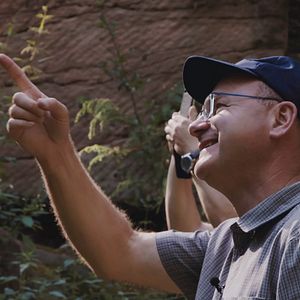 Bilder Vogelperspektiven