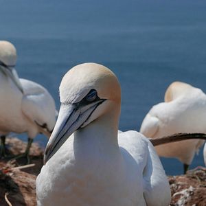 Bilder Vogelperspektiven