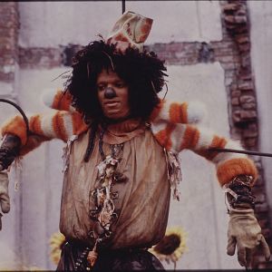 Bilder The Wiz - Das zauberhafte Land