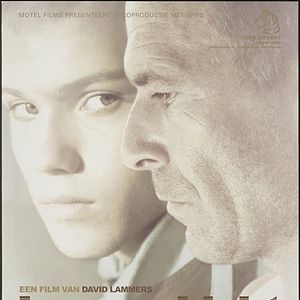 Bilder Northern Light