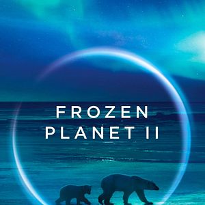 Bilder Frozen Planet II