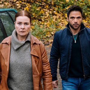 Bilder Die Füchsin - Game Over