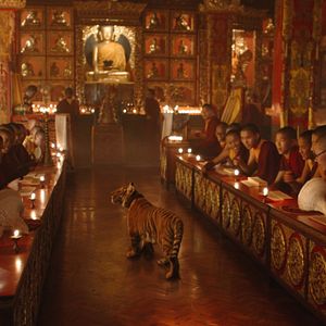 Bilder Die Legende vom Tigernest