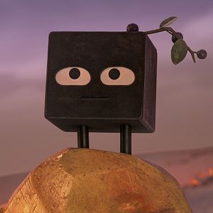 Bilder Die Insel der Formen