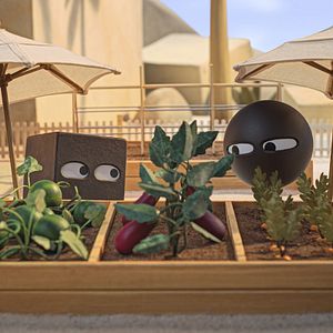 Bilder Die Insel der Formen