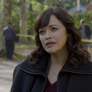 Bilder Marisa Ramirez