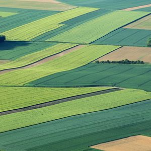 Bilder Paysans du Ciel à la Terre
