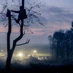 Bilder Barrikade - Bilder einer Waldbesetzung