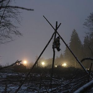 Bilder Barrikade - Bilder einer Waldbesetzung