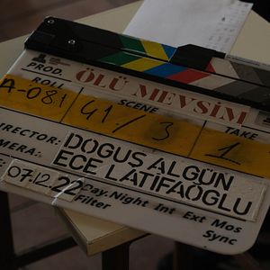 Bilder Unfruitful Times