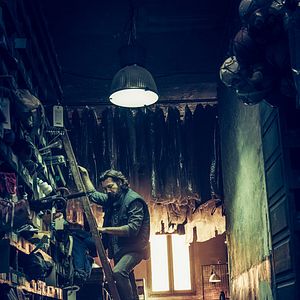 Bilder Die Spur der Knochen