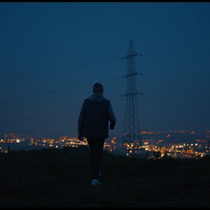 Bilder Animals - Wie wilde Tiere